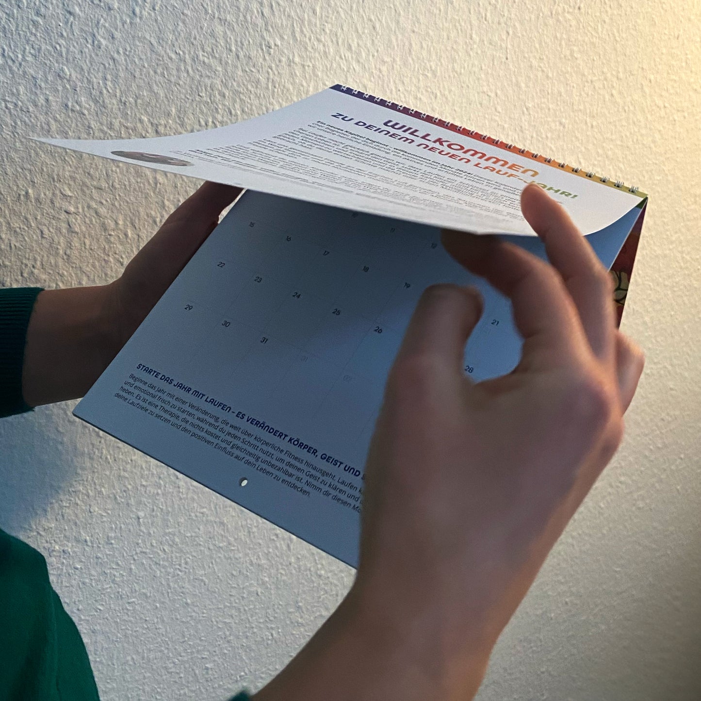 Laufkalender 2024