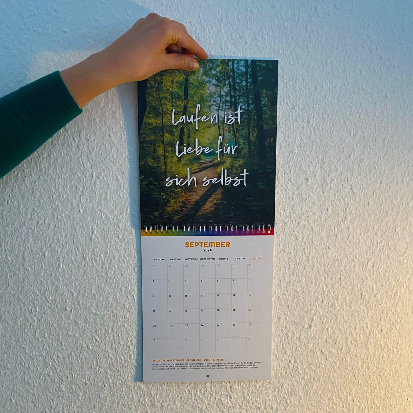 Laufkalender 2024