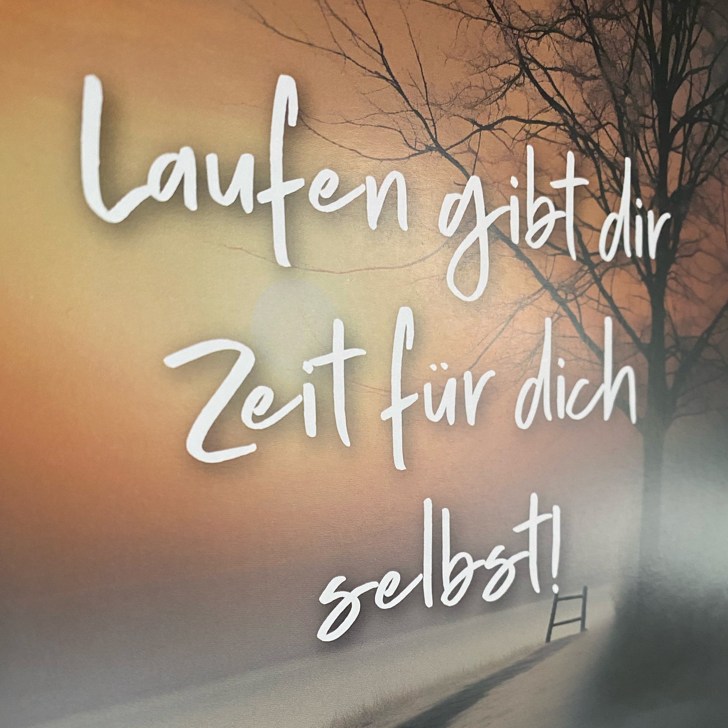 Laufkalender 2024